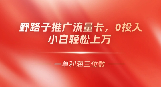 0门槛推广流量卡，一单收益上百，0投入，小白月入过W-南友云赚