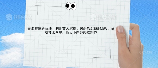 AI养生赛道新玩法，10条作品涨粉5.2W，操作简单，新人小白能轻松制作-南友云赚