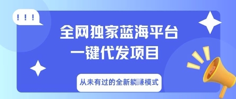 全网独家蓝海平台一键代发项目，从未有过的全新躺Z模式-南友云赚