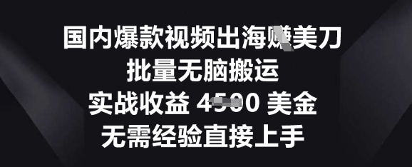 国内爆款视频出海挣美刀，批量无脑搬运，实战收益4.5k，无需经验直接上手-南友云赚
