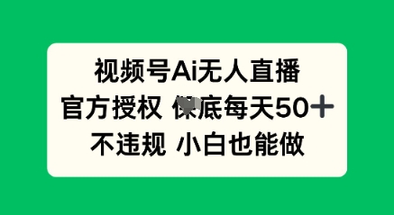 视频号AI无人直播，官方授权  每天50+，不违规 小白也能做-南友云赚