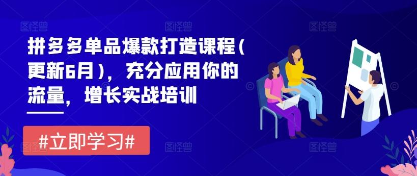 拼多多单品爆款打造课程(更新6月)，充分应用你的流量，增长实战培训-南友云赚
