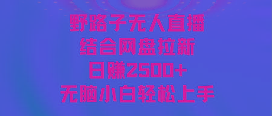 无人直播野路子结合网盘拉新，日赚2500+多平台变现，小白无脑轻松上手操作-南友云赚