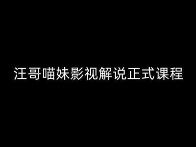 汪哥影视解说正式课程：剪映/PR教学/视解说剪辑5大黄金法则/全流程剪辑7把利器等等-南友云赚