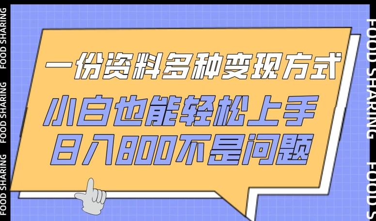 一份资料多种变现方式，小白也能轻松上手，日入800不是问题【揭秘】-南友云赚