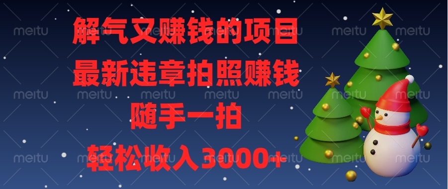 解气又赚钱的项目，最新违章拍照赚钱，随手一拍，轻松收入3000+-南友云赚