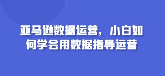 亚马逊数据运营，小白如何学会用数据指导运营-南友云赚