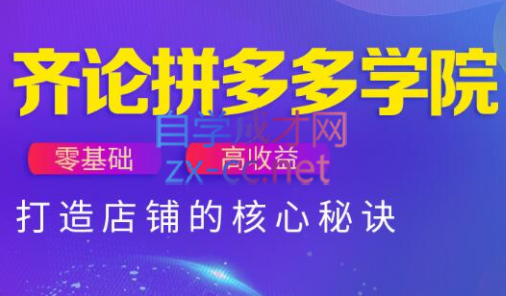 齐论拼多多vip课程-南友云赚
