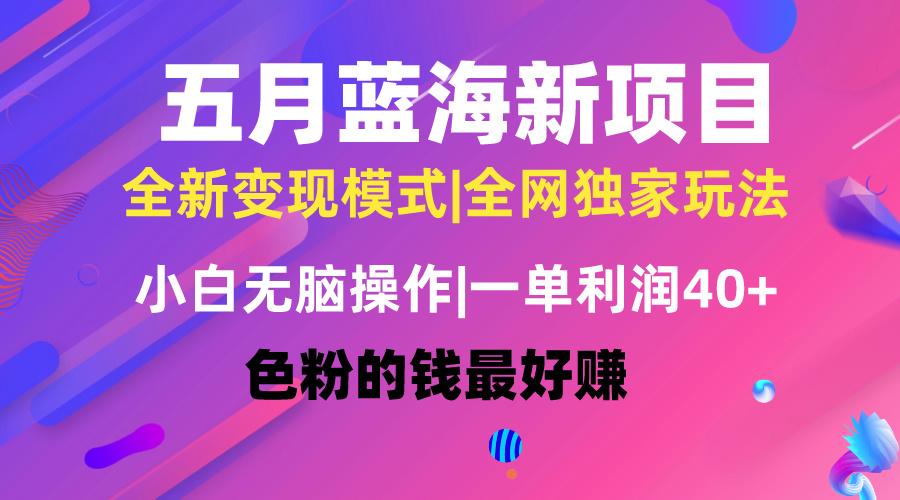 五月蓝海项目全新玩法，小白无脑操作，一天几分钟，矩阵操作，月入4万+-南友云赚
