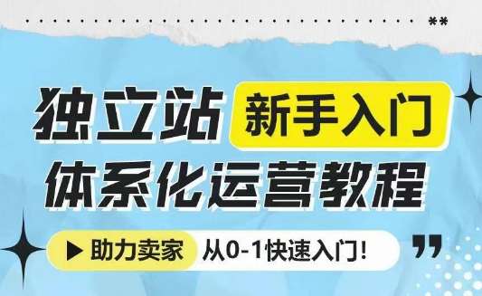 独立站新手入门体系化运营教程，助力独立站卖家从0-1快速入门!-南友云赚