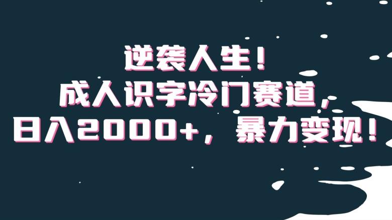 逆袭人生！成人识字冷门赛道，日入2000+，暴力变现！【揭秘】-南友云赚
