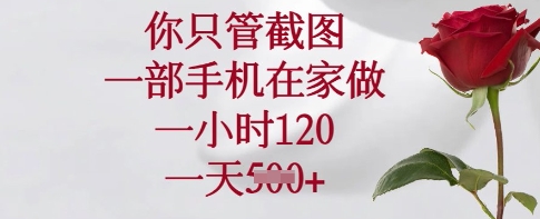 你只管截图，一部手机在家做，一小时120.一天5张【揭秘】-南友云赚