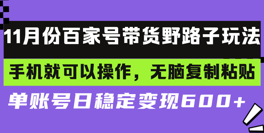 百家号带货野路子玩法 手机就可以操作，无脑复制粘贴 单账号日稳定变现…-南友云赚