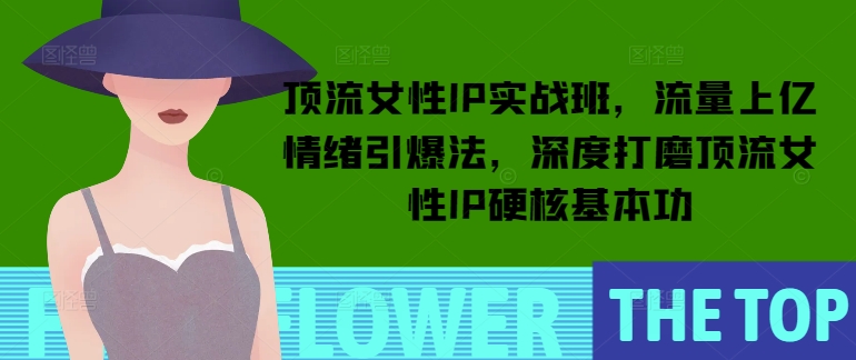 顶流女性IP实战班，流量上亿情绪引爆法，深度打磨顶流女性IP硬核基本功-南友云赚