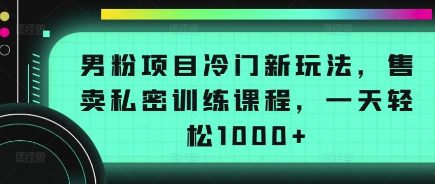 男粉项目冷门新玩法，售卖私密训练课程，一天轻松1000+【揭秘】-南友云赚