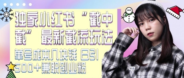 最新小红书截流玩法 独家截中截 单号成本几块钱 日引500+CY粉JZ粉-南友云赚
