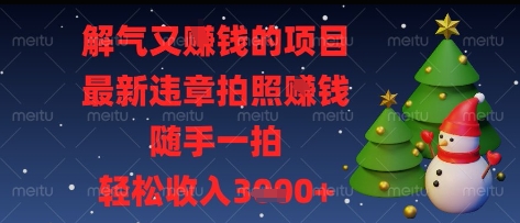 解气又挣钱的项目，最新违章拍照挣钱，随手一拍，轻松收入多张【揭秘】-南友云赚