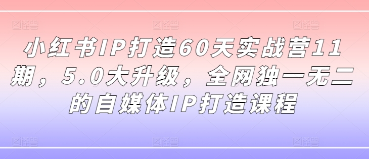 小红书IP打造60天实战营11期，5.0大升级，全网独一无二的自媒体IP打造课程-南友云赚