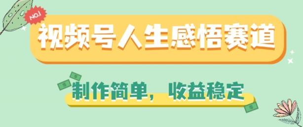 视频号人生感悟赛道，制作简单，收益稳定【揭秘】-南友云赚