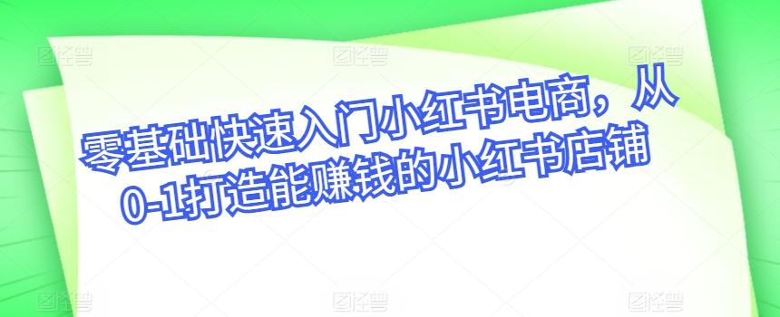 零基础快速入门小红书电商，从0-1打造能赚钱的小红书店铺-南友云赚