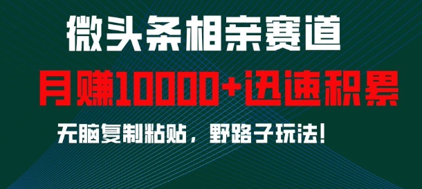 微头条相亲赛道，迅速积累，无脑复制粘贴，野路子玩法，月入1w-南友云赚