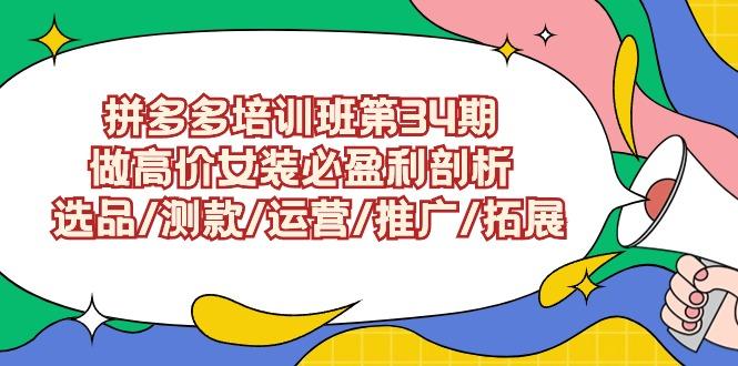 (9333期)拼多多培训班第34期：做高价女装必盈利剖析  选品/测款/运营/推广/拓展-南友云赚