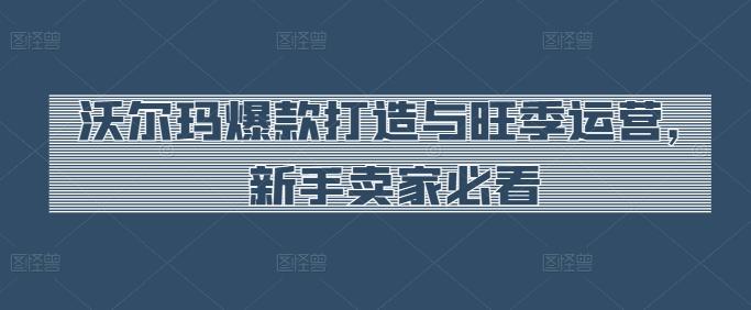 沃尔玛爆款打造与旺季运营，新手卖家必看-南友云赚