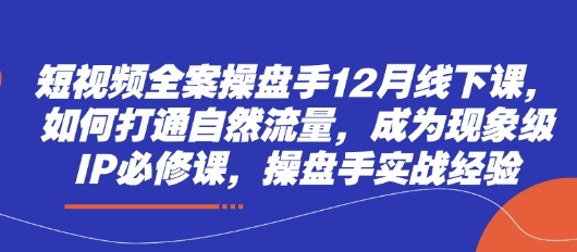短视频全案操盘手12月线下课，如何打通自然流量，成为现象级IP必修课，操盘手实战经验-南友云赚