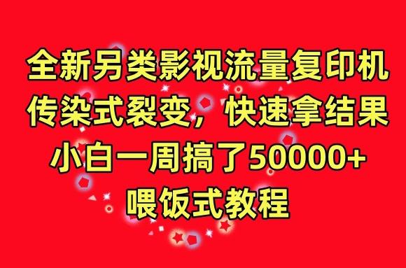 全新另类影视流量复印机，传染式裂变，快速拿结果，小白一周搞了50000+，喂饭式教程【揭秘】-南友云赚