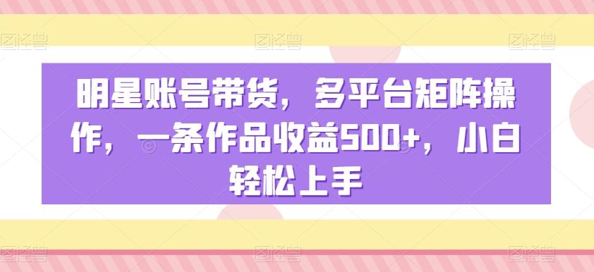 明星账号带货，多平台矩阵操作，一条作品收益500+，小白轻松上手【揭秘】-南友云赚