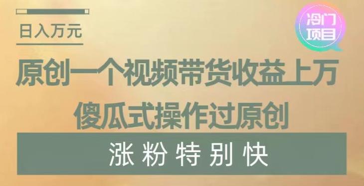 原创一个视频带货收益上万，傻瓜式操作过原创，几分钟做一个视频涨粉特别快【揭秘】-南友云赚