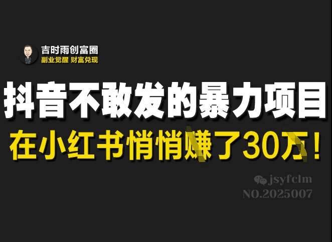 抖音不敢发的暴利项目，在小红书悄悄挣了30W-南友云赚