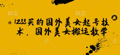1288买的国外美女起号技术，国外美女搬运教学-南友云赚