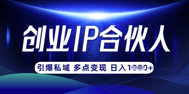 云帆·创业ip合伙人打造3.0，从0到1教你做网创，实现月入过W-南友云赚