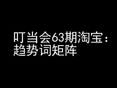 《淘宝天猫打爆班》原创高阶技术第63期，趋势词矩阵技术和玩法-南友云赚