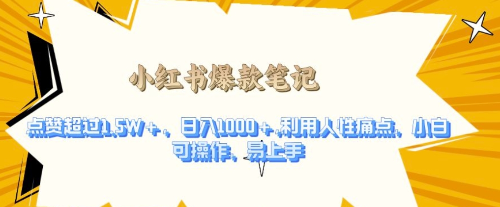 利用人性的痛点，打造爆款笔记，获得点赞超过1.5W+，日入1k【揭秘】-南友云赚