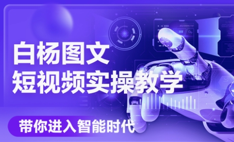 白杨老师·Ai图文短视频实操课(更新6月)-南友云赚