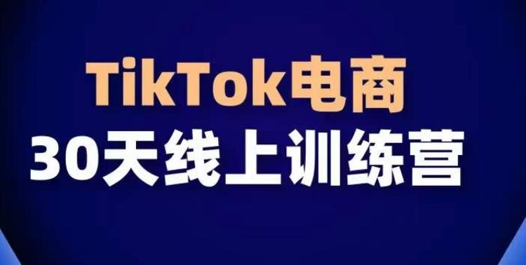 TikTok电商带货30天线上课，不可错过的全球流量洼地！-南友云赚