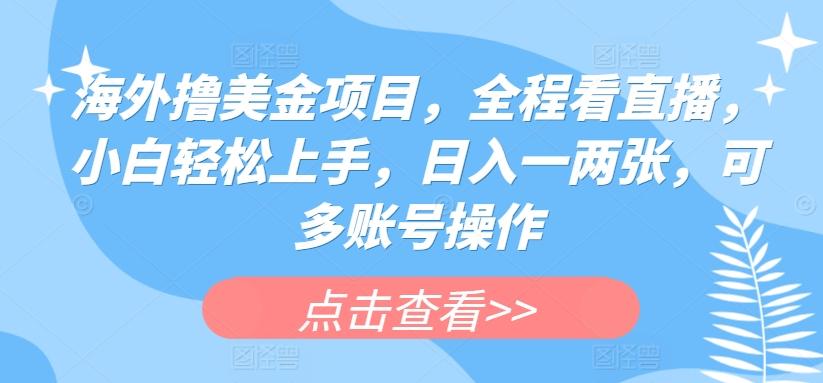 海外撸美金项目，全程看直播，小白轻松上手，日入一两张，可多账号操作【揭秘】-南友云赚