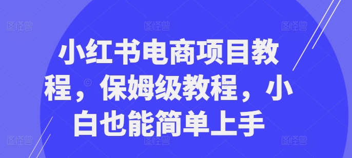 小红书电商项目教程，保姆级教程，小白也能简单上手-南友云赚