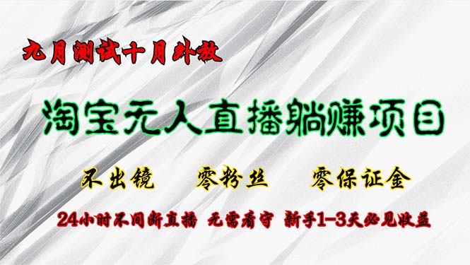 淘宝无人直播最新玩法，九月测试十月外放，不出镜零粉丝零保证金，24小…-南友云赚