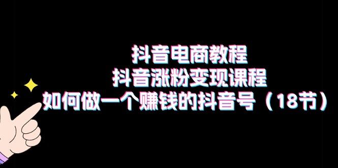 抖音电商教程：抖音涨粉变现课程：如何做一个赚钱的抖音号(18节-南友云赚