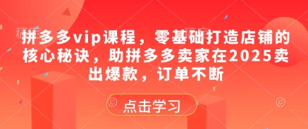 拼多多vip课程，零基础打造店铺的核心秘诀，助拼多多卖家在2025卖出爆款，订单不断-南友云赚
