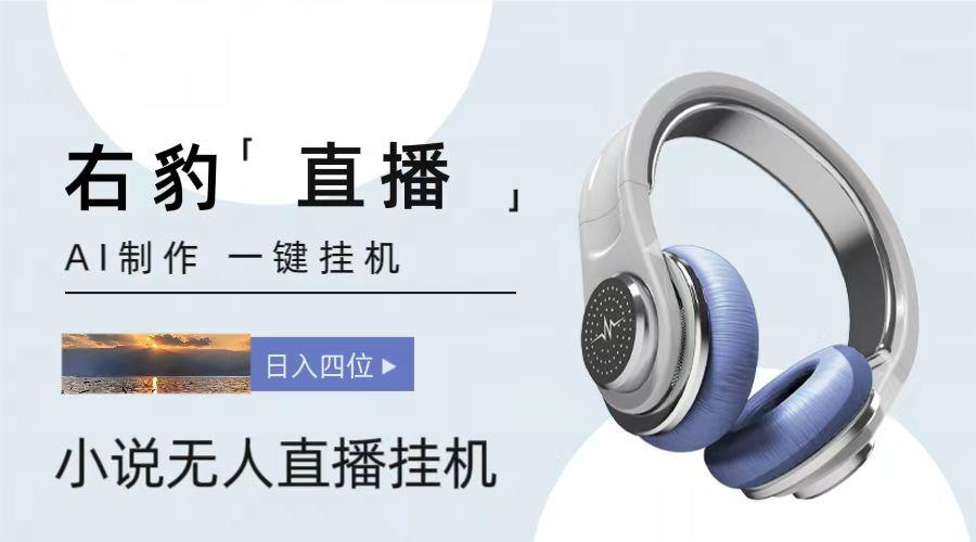 右豹小说无人直播挂机吸金项目，简单易行收益稳定， 月入1000+-南友云赚