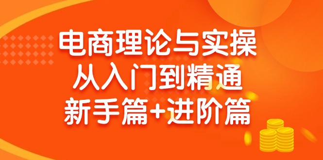 (9576期)电商理论与实操从入门到精通 新手篇+进阶篇-南友云赚