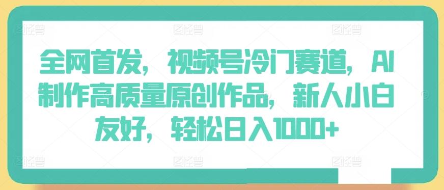 全网首发，视频号冷门赛道，AI制作高质量原创作品，新人小白友好，轻松日入1000+【揭秘】-南友云赚