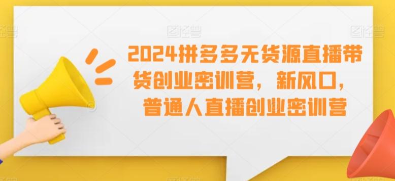 2024拼多多无货源直播带货创业密训营，新风口，普通人直播创业密训营-南友云赚