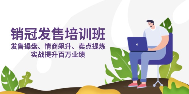 销冠 发售培训班：发售 操盘+情商 飙升+卖点 提炼，实战提升百万业绩-南友云赚