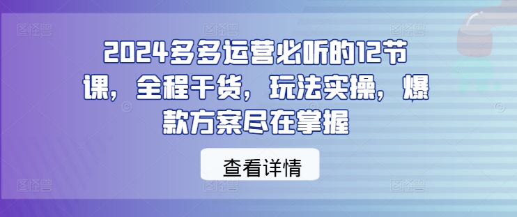 2024多多运营必听的12节课，全程干货，玩法实操，爆款方案尽在掌握-南友云赚
