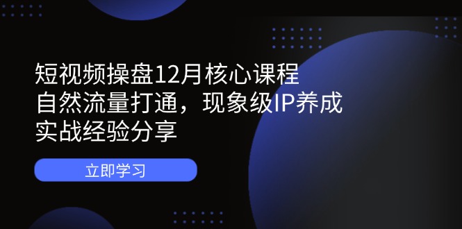 短视频操盘12月核心课程：自然流量打通，现象级IP养成，实战经验分享-南友云赚